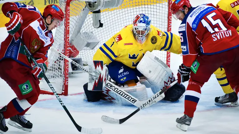 Stefan Liv I Karjala