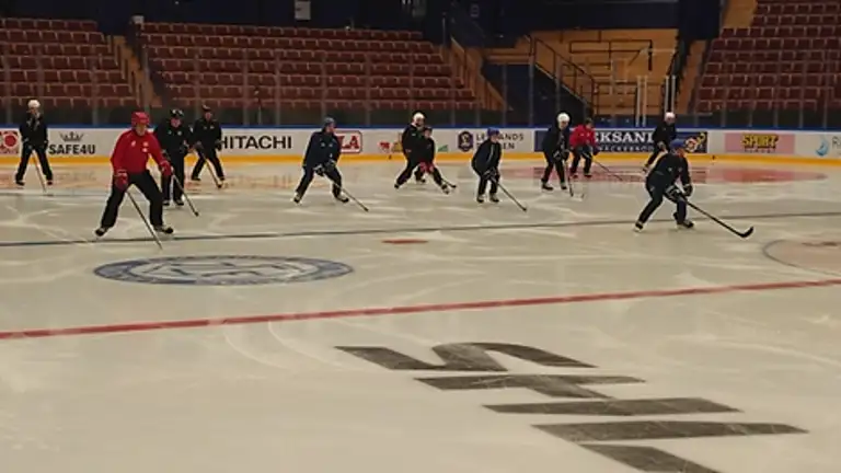 Tema Leksand