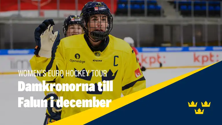 2023 11 17 DK Falun Swehockeyse