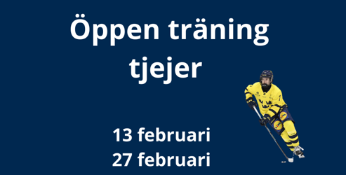 Skärmbild 2026 01 23 143912