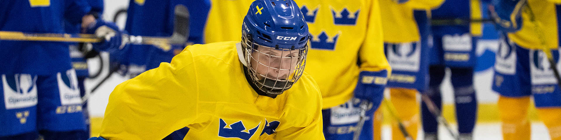 Gjensidige Spelarförsäkring