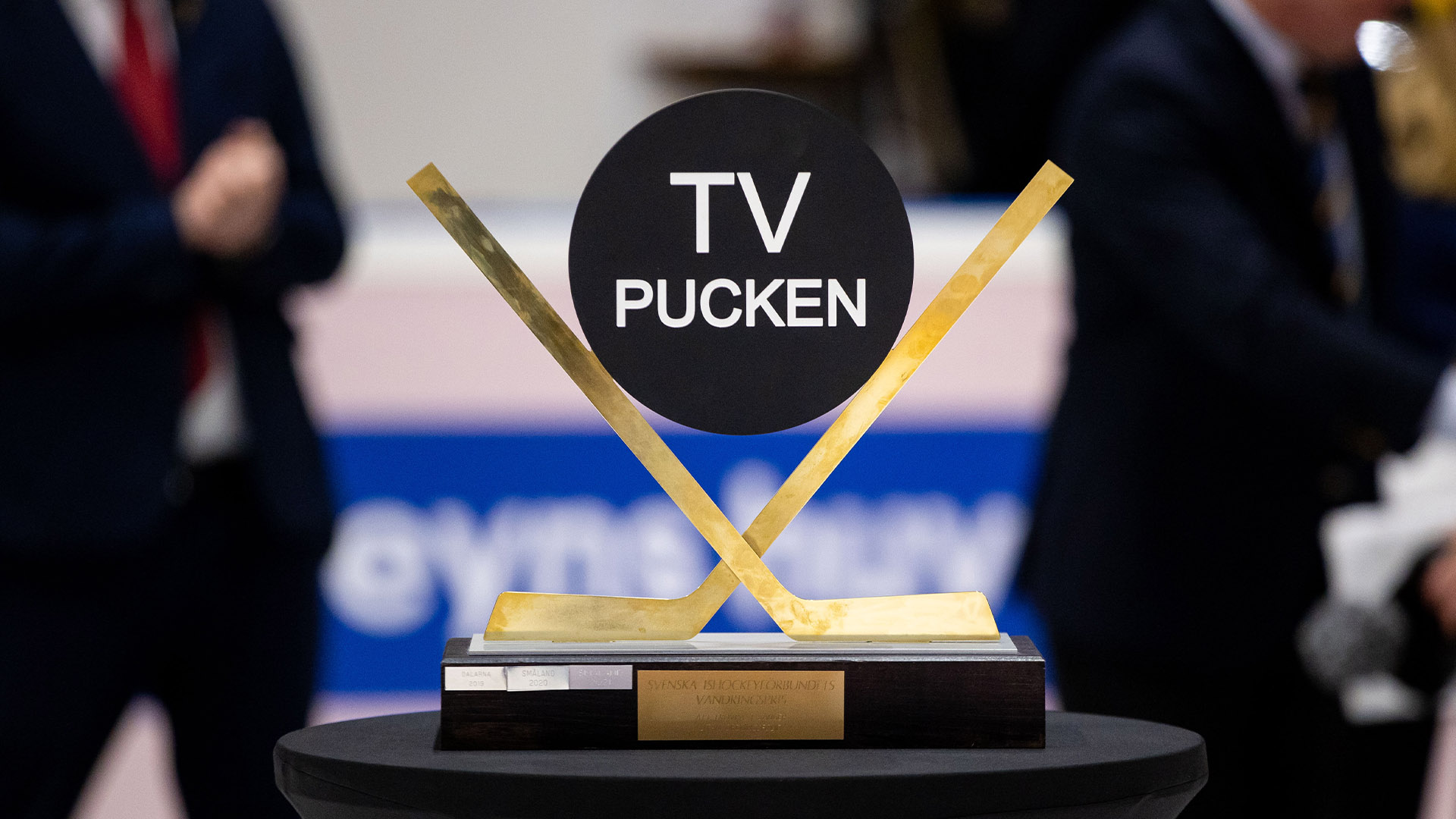 TV Puck Pokalen