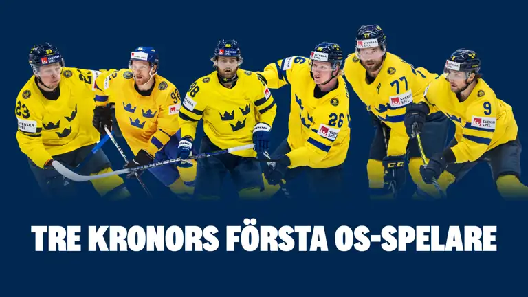 Swehockey Grafik Kopiera