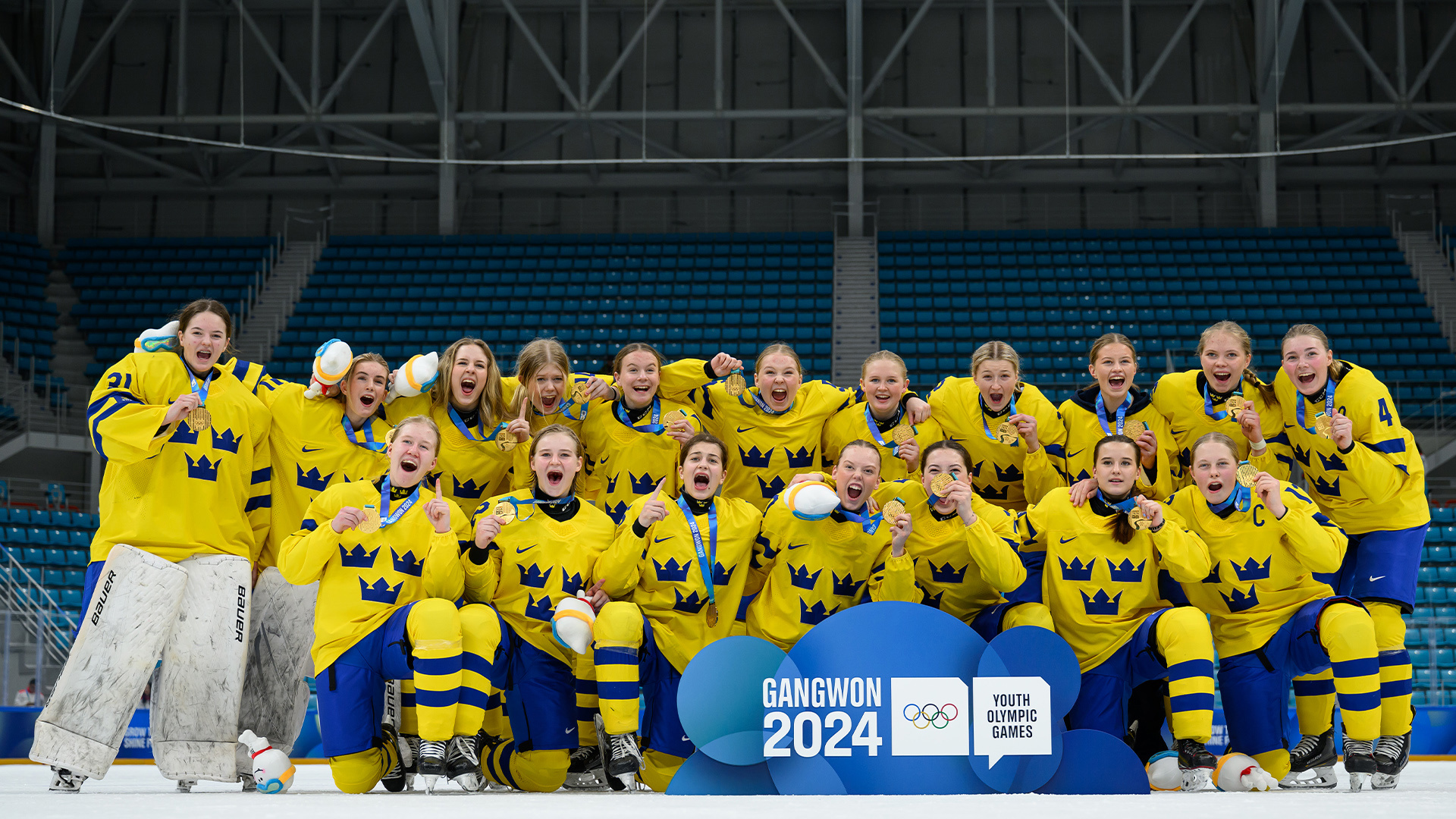 Svenska Ishockeyförbundet