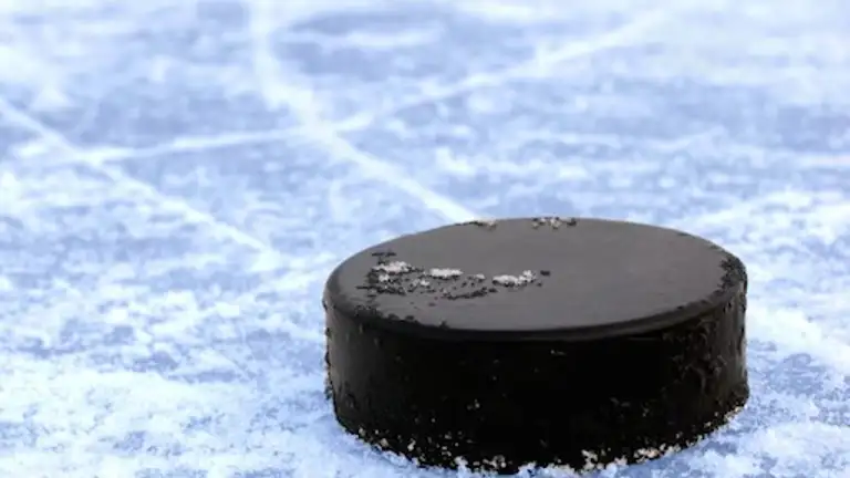 Hockey Puck