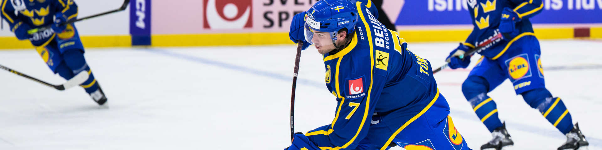 Våra Huvudsponsorer