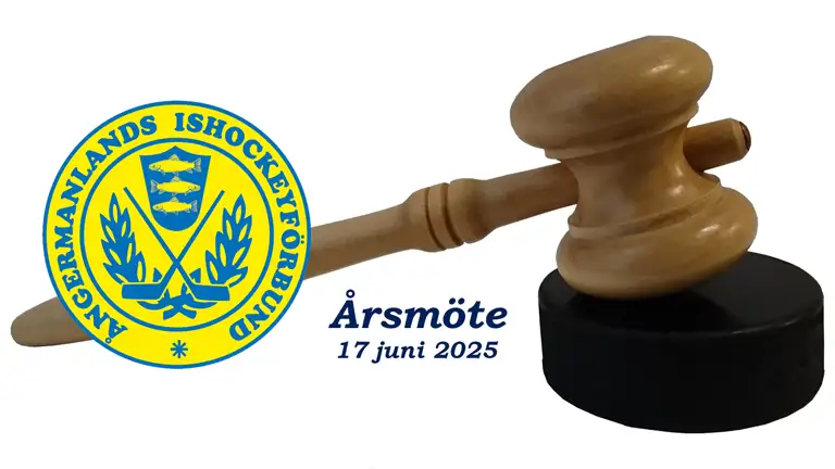 Årsmöte 2025 1
