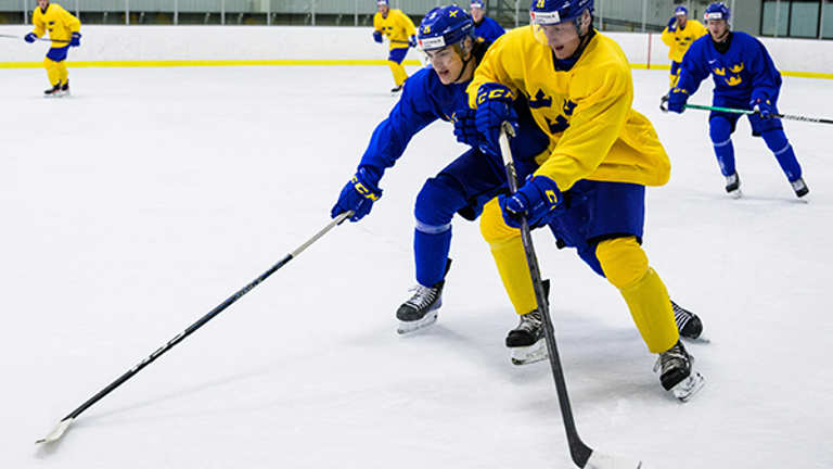 Press På Puckhållaren