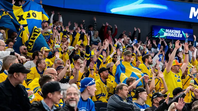 Svenska Fans