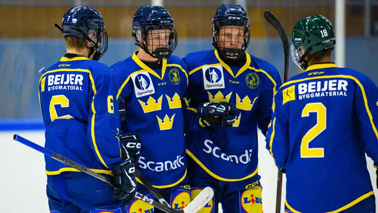 Team 17 Katrineholm