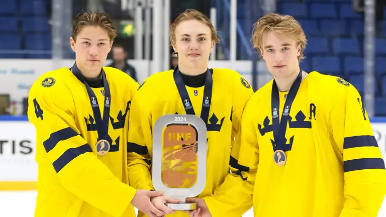 NHL Draft 2024 Leo Sahlin Wallenius Linus Eriksson Lucas Pettersson